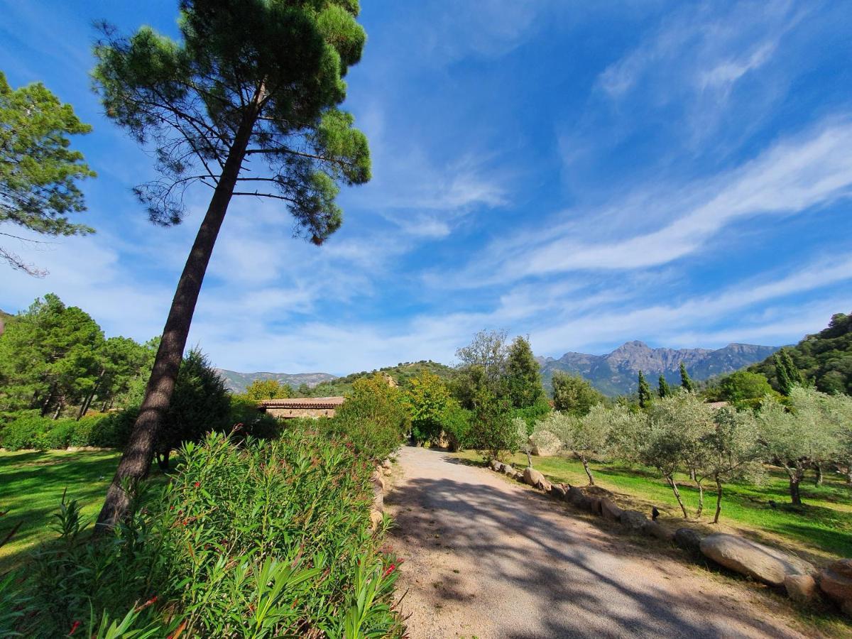 Domaine Codaleone Serriera  Екстериор снимка
