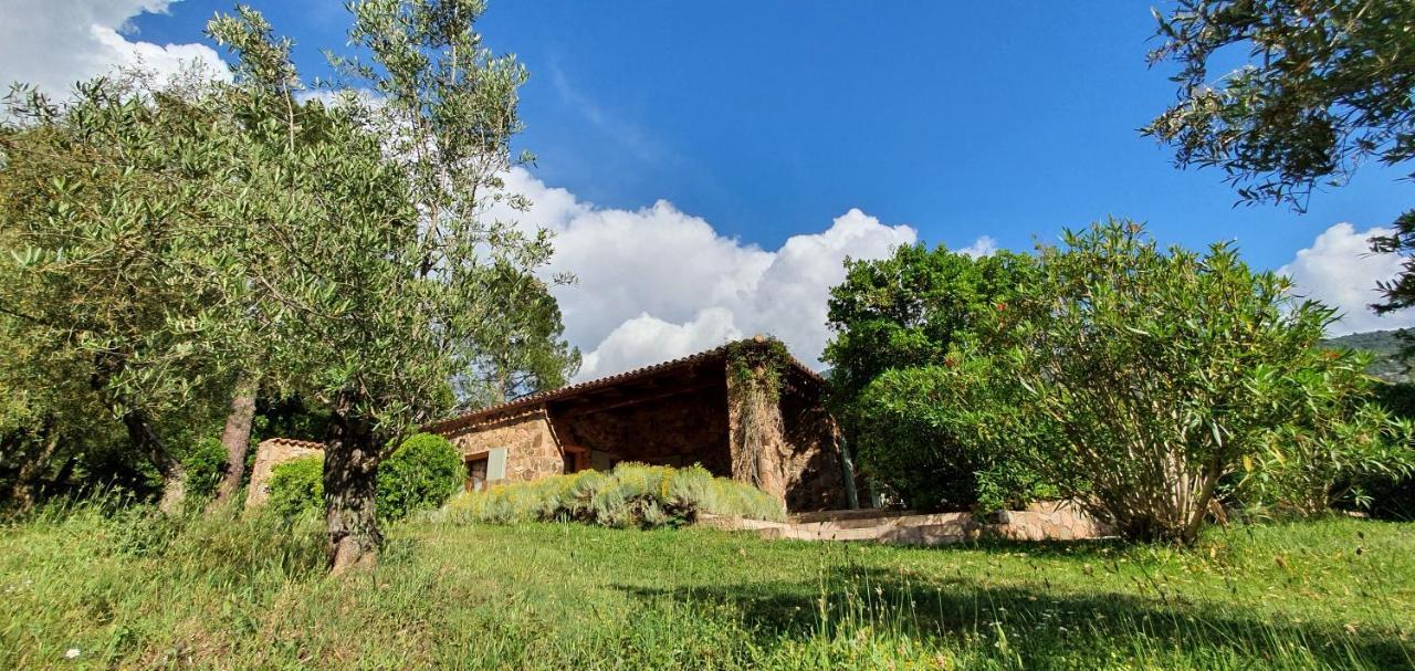 Domaine Codaleone Serriera  Екстериор снимка